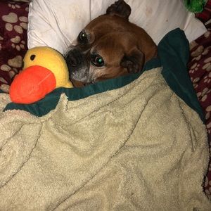 Meet your Posher, Jamie